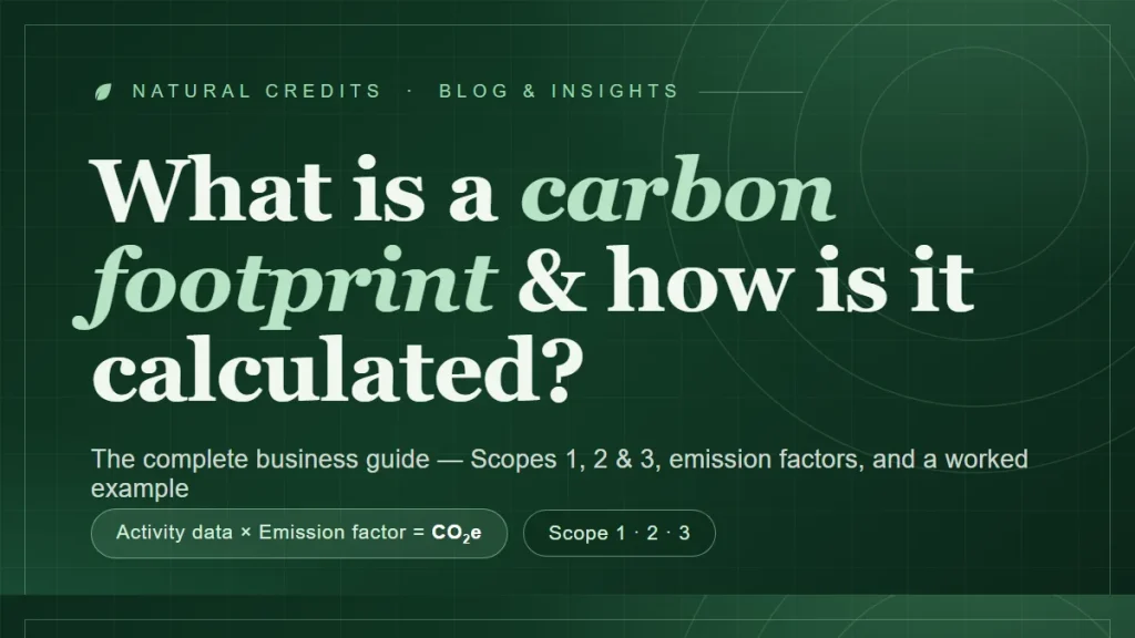 What Is a Carbon Footprint and How Is It Calculated?
