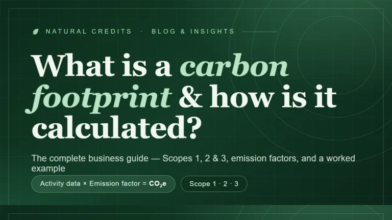What is a carbon footprint and how is it calculated - Scopes 1, 2 and 3 explained